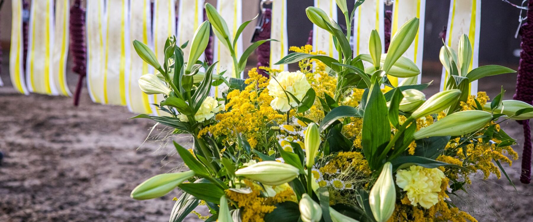 EHKAS –  Eesti hobuse eest 