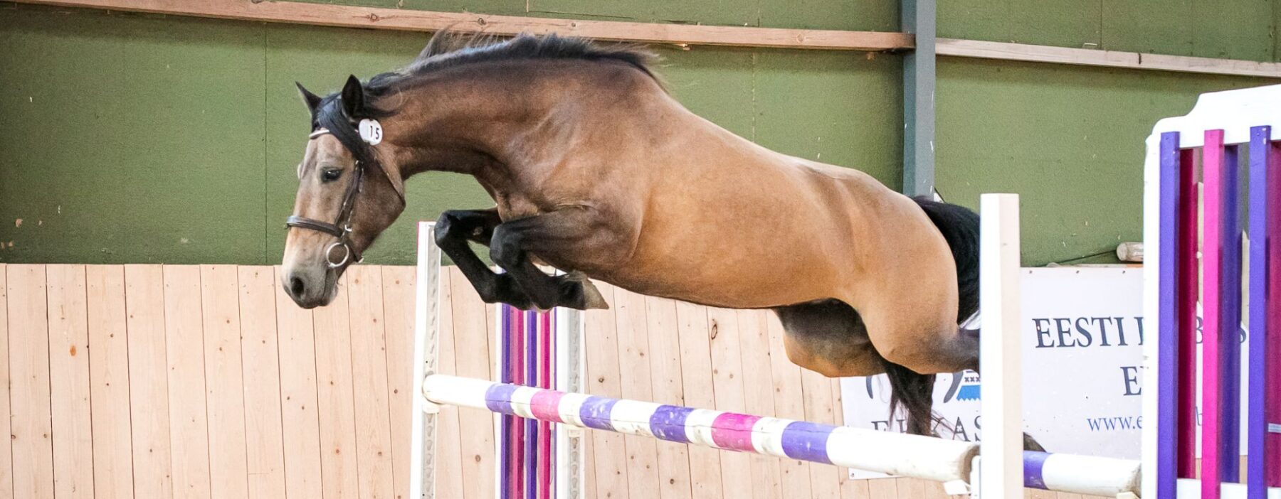 EHKAS –  Eesti hobuse eest 