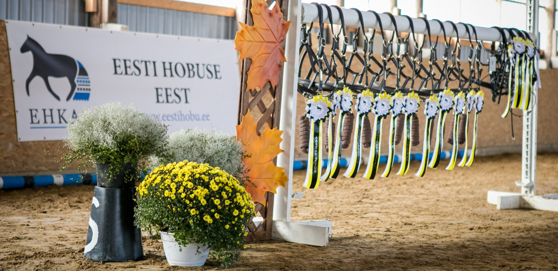 EHKAS –  Eesti hobuse eest 