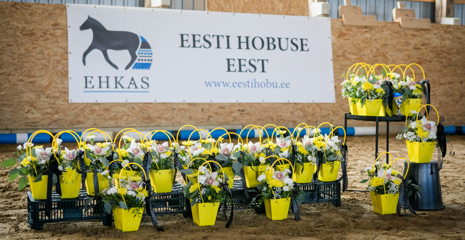 EHKAS –  Eesti hobuse eest 