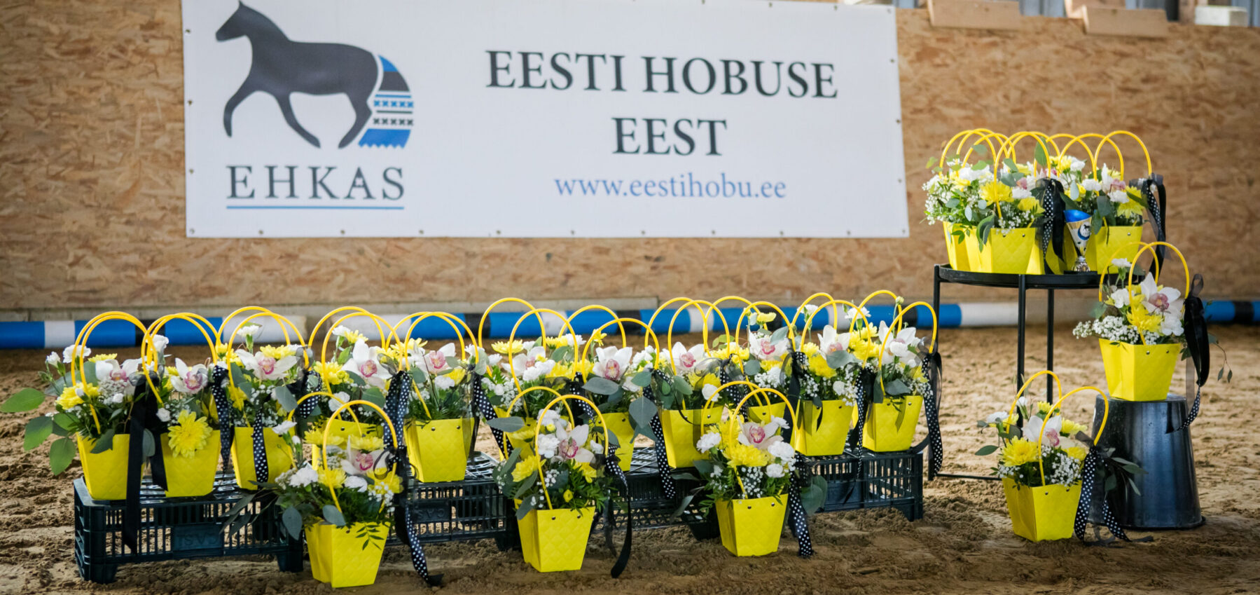 EHKAS –  Eesti hobuse eest 