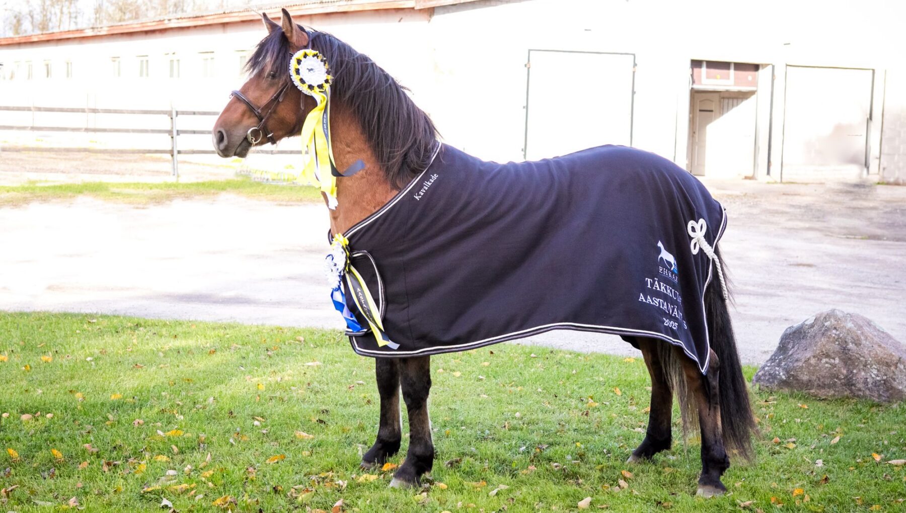 EHKAS –  Eesti hobuse eest 