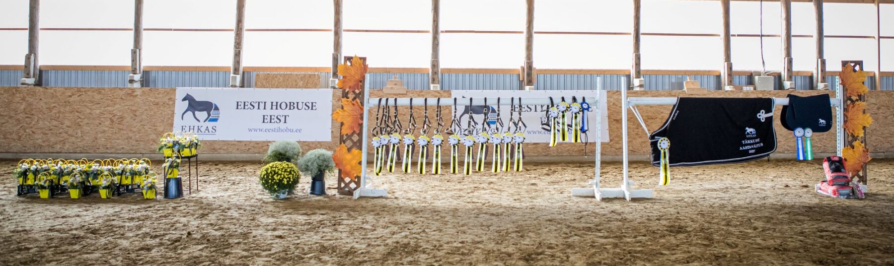 EHKAS –  Eesti hobuse eest 