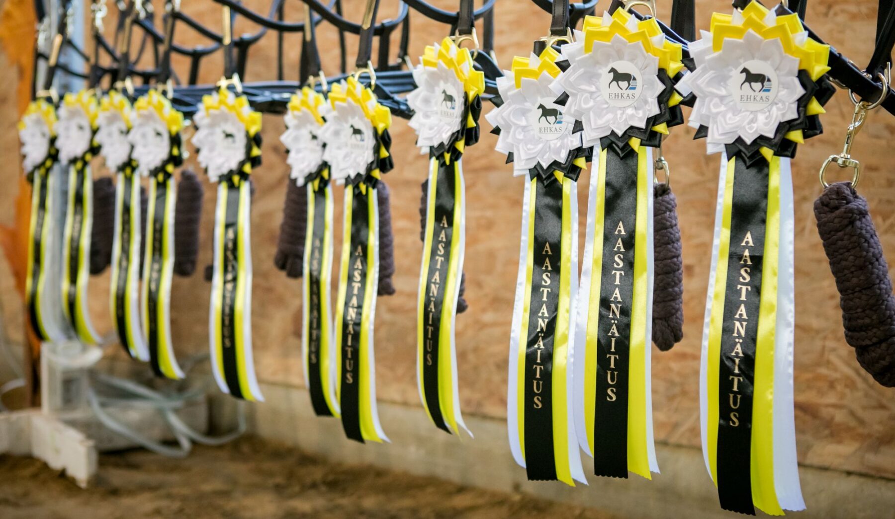 EHKAS –  Eesti hobuse eest 